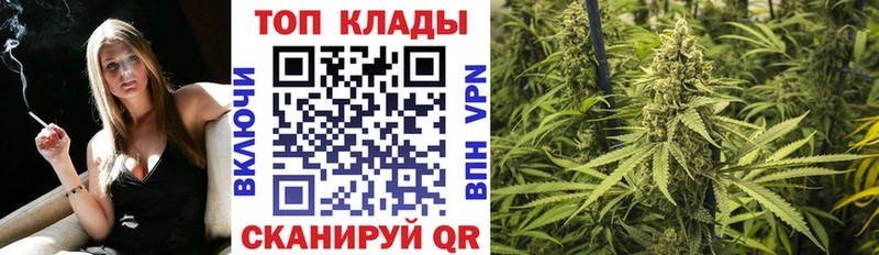 Лсд 25 Каргат